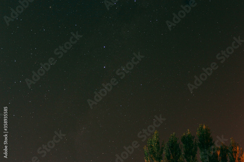 Arboles con estrellas de fondo