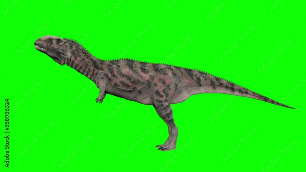 Dinosaur animation on green screen. GI render, realistic motion Dinosaur animation on green screen. GI render, realistic motion