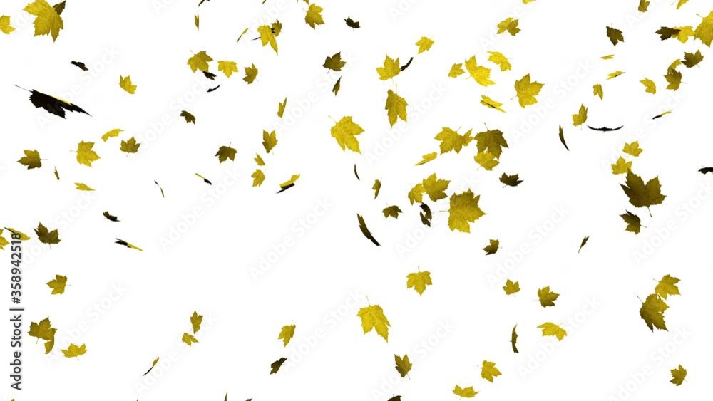 feuilles mortes qui tombent en automne, animation 3D