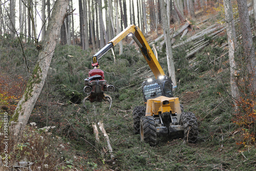Special forest harvester for extreme slopes in spruce forest processing. Wood harvester anchored and pulled with rope. Forestry cutting with a combine harvester. Forestry with special equipment.