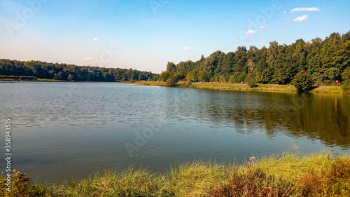 Fototapeta Naklejka Na Ścianę i Meble -  Beautiful pond in the park