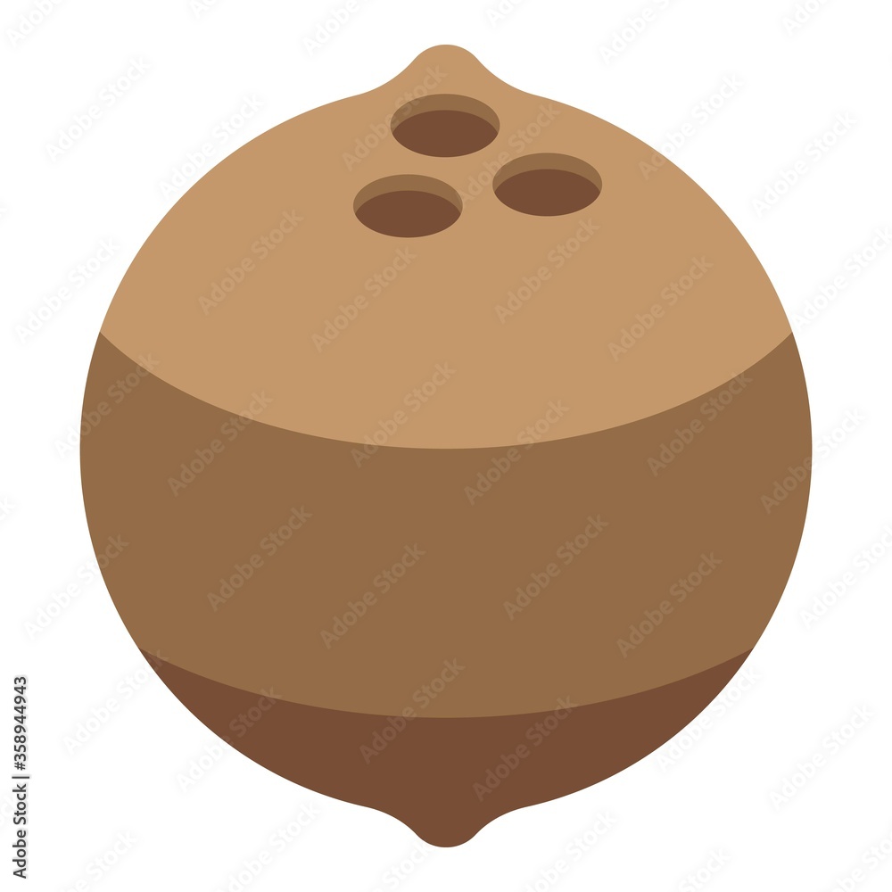 Fototapeta premium Whole coconut icon. Isometric of whole coconut vector icon for web design isolated on white background