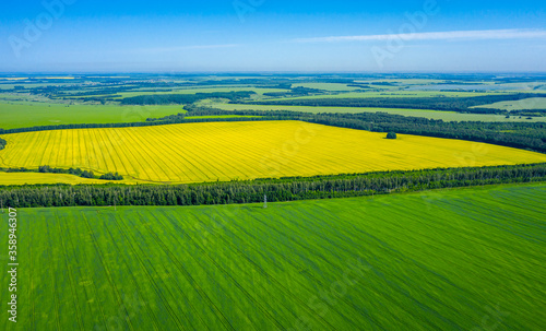 Aerial photo, multi-colored fields of yellow-blooming rapeseed, blue flax and green wheat stretch to the horizon.