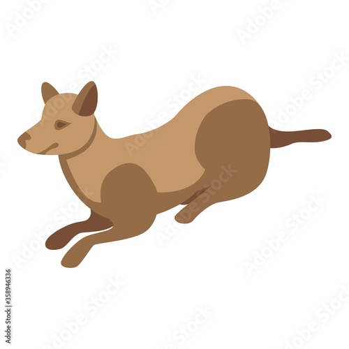 Dog agility training icon. Isometric of dog agility training vector icon for web design isolated on white background