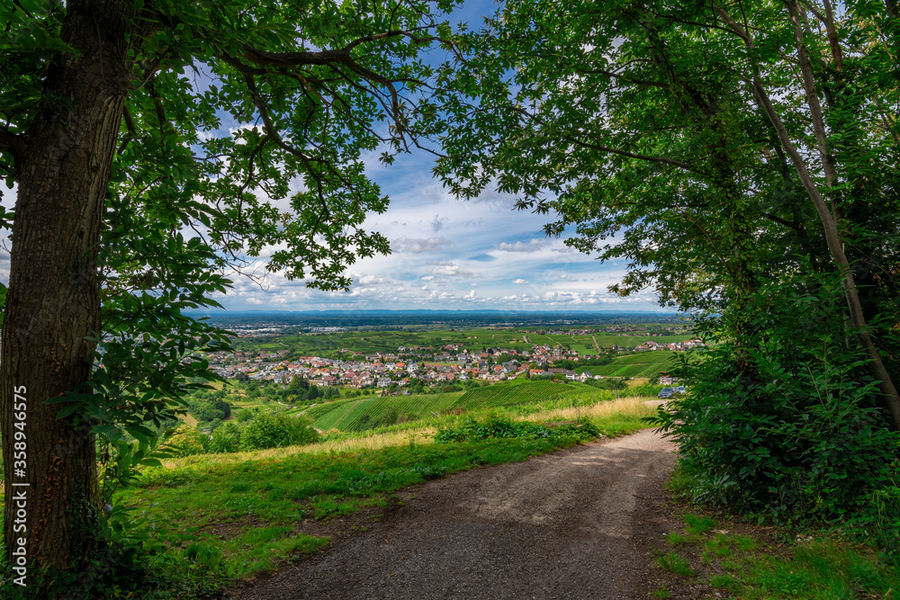 Viewing down into the valley, Bühl in Germany, Black Forest, on a sunny summer day with a blue sky and white clouds Viewing down into the valley, Bühl in Germany, Black Forest, on a sunny summer day with a blue sky and white clouds