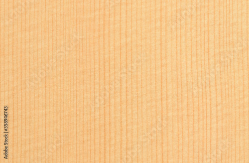 Natural texture of light wood. Wood background with texture