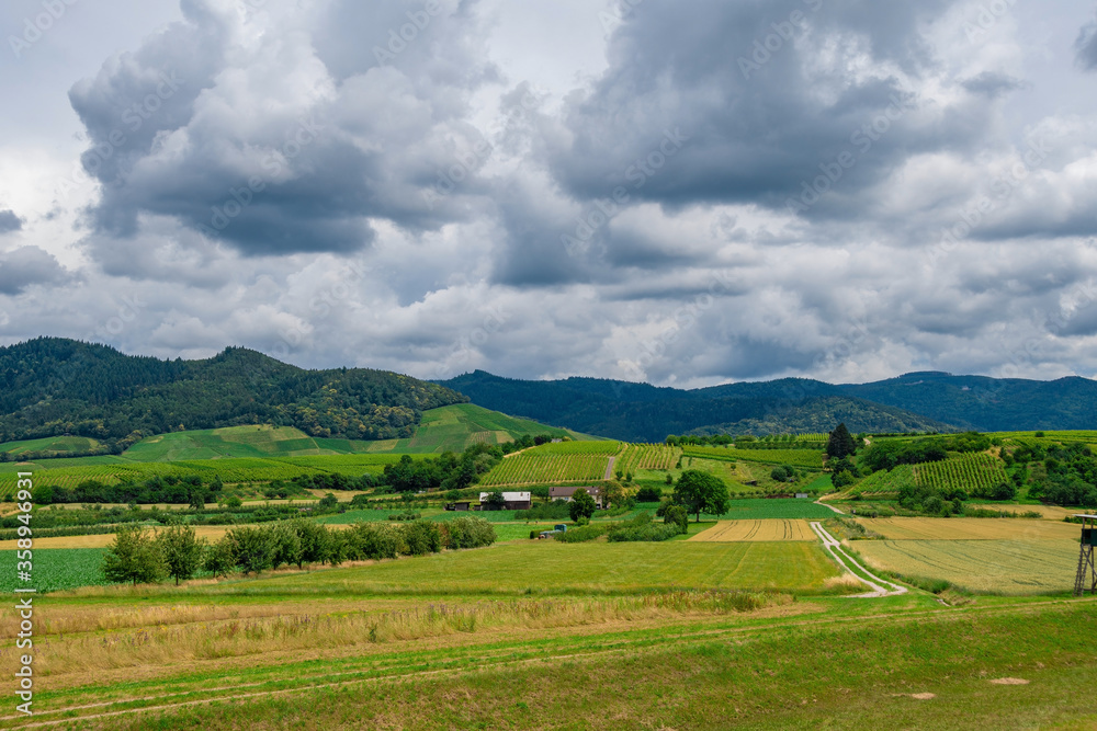 The green Black Forest mountains viewed from the valley in Bühl, Germany, on a summer day with some rainy clouds