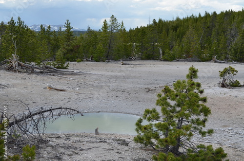 Fotografie Late Spring in Yellowstone National Park: Small Unnamed Pool Near Dishwater Spri