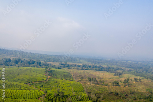 indonesia-plantage-nature-aerial