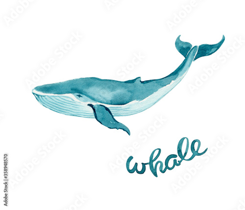 Blue whale with lettering. Watercolor illustration isolated on white.