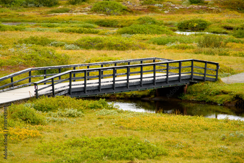 Obraz premium Thingvellir, a national park founded in 1930. World Heritage Site