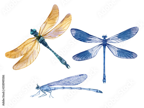 Hand drawn watercolor set of colorful dragoflies isolated on white.
