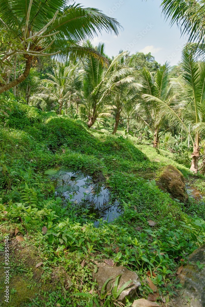 Fototapeta premium Gardens at Gunung Kawi Temple Complex on Bali Island.
