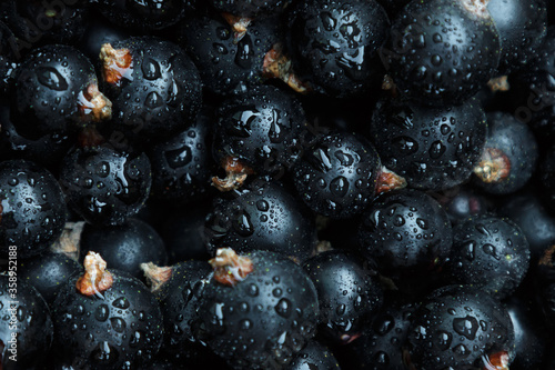 background of black currant berries macro