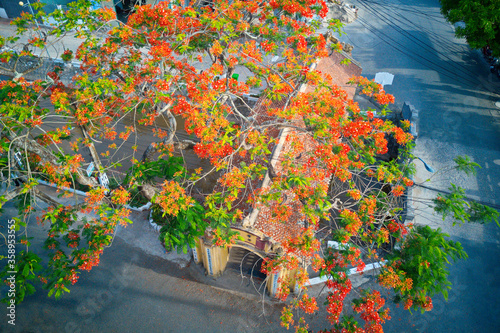 NAMDINH, VIETNAM - JUNE 7TH 2020: The Tiled Bridged in Hai Anh commune, Haihau Dist. is one of the most famous, beautiful and rarest ancient tiled bridges in Vietnam photo