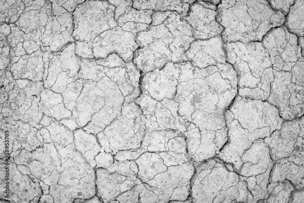 Fototapeta Gray Dry soil surface with cracks under high solar activity and lack of moisture
