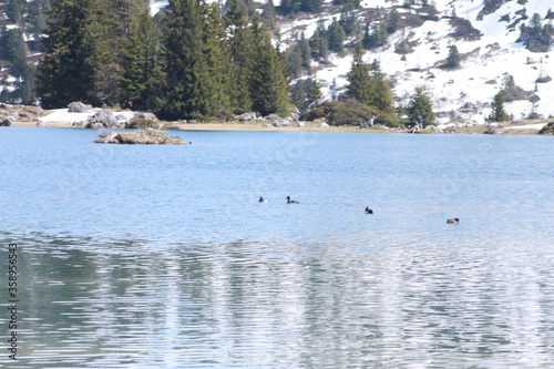 Seebergsee im Berner Oberland © Marco