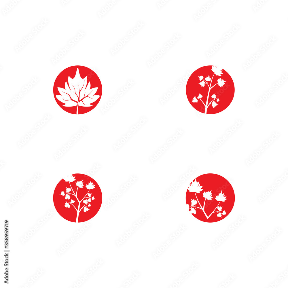 Set Maple leaf vector illustration Set Maple leaf vector illustration