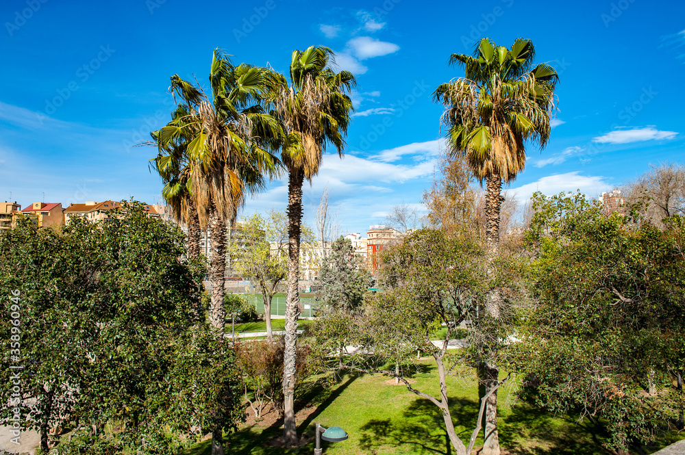 It's Nature and architecture of Valencia, Spain It's Nature and architecture of Valencia, Spain