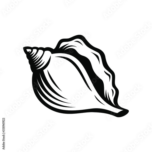 hermit crabs shell, sketch style vector illustration isolated on white background.