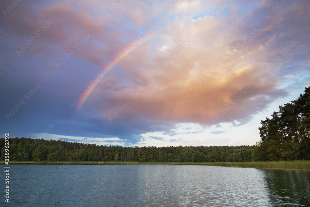 A reflection of forest and shore in a calm lake