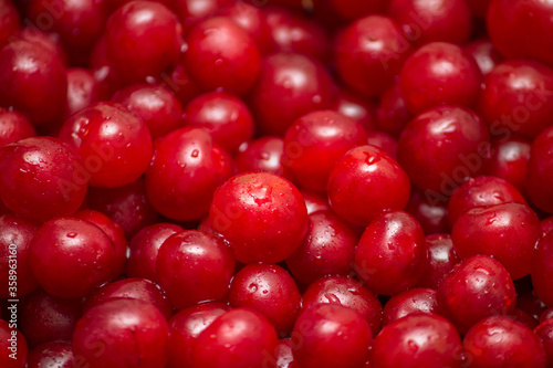 ed berry cranberries lingonberries background