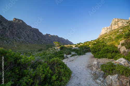 Rock formations and Mediterranean flora near Pollenca in Mallorca island, Spain