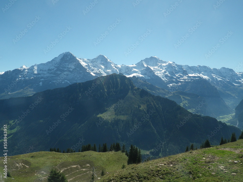 The Bernese Alps seen from Schynige Platte