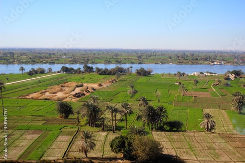 Fotografía A green farm with trees and palms and hay suited by the Nile river in Egypt