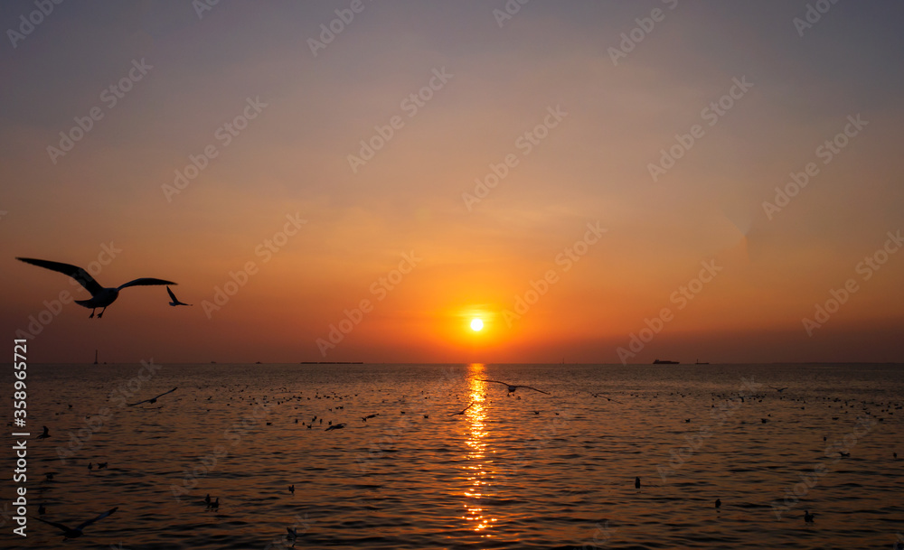 Fototapeta premium Silhouettes sunsets and seagulls Nature of the beautiful summer sea