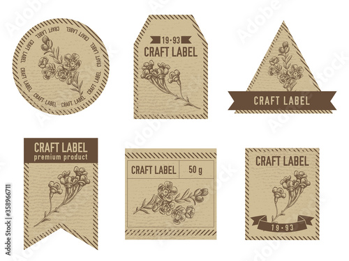 Craft labels vintage design with illustration of wax flower