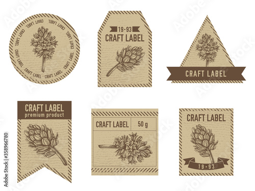 Craft labels vintage design with illustration of hyacinth