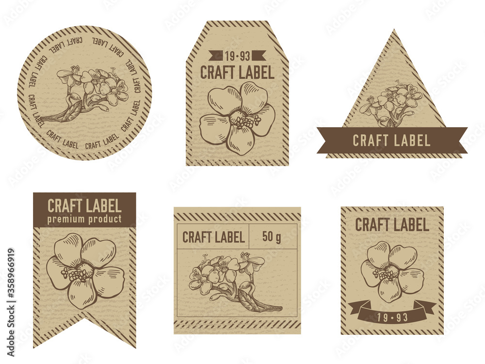 Craft labels vintage design with illustration of milkweed