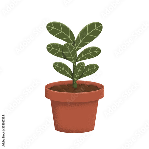 Stylized ficus plant in clay pot with texture shadows and lights. On white background