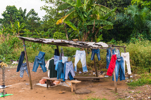Wallpaper Mural It's Jeans hang on the rope in the jungle Torontodigital.ca