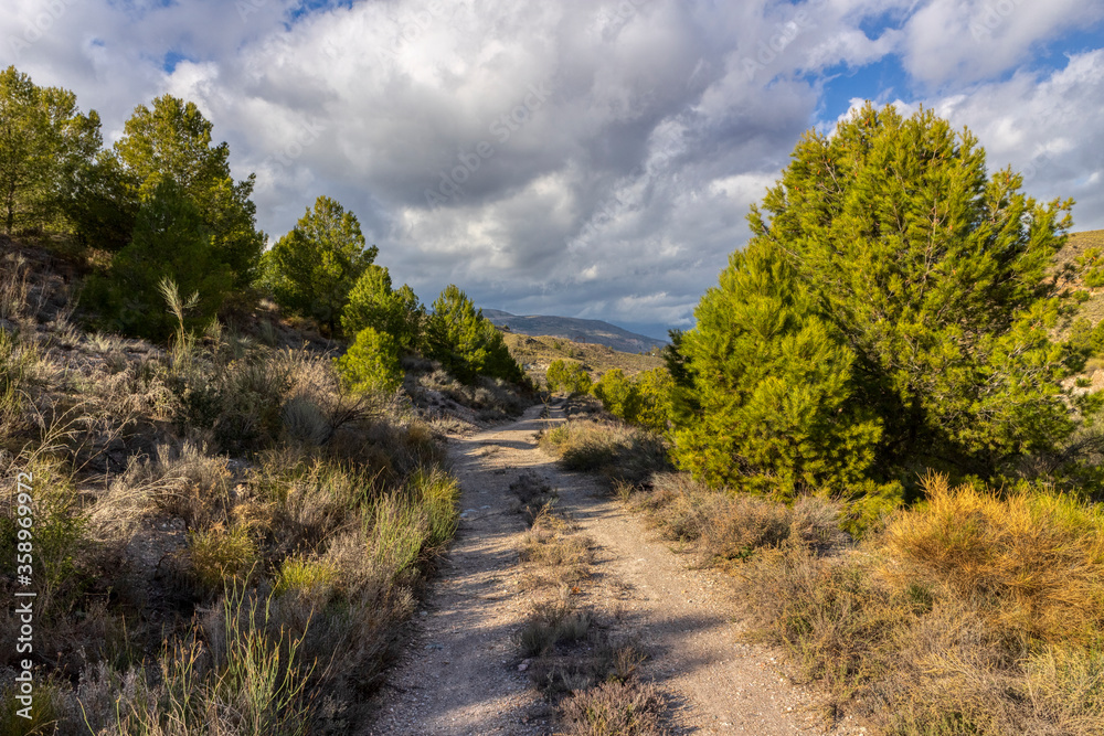 mountainous area in the area of Cejor (Berja)
mountainous area in the area of Cejor (Berja)