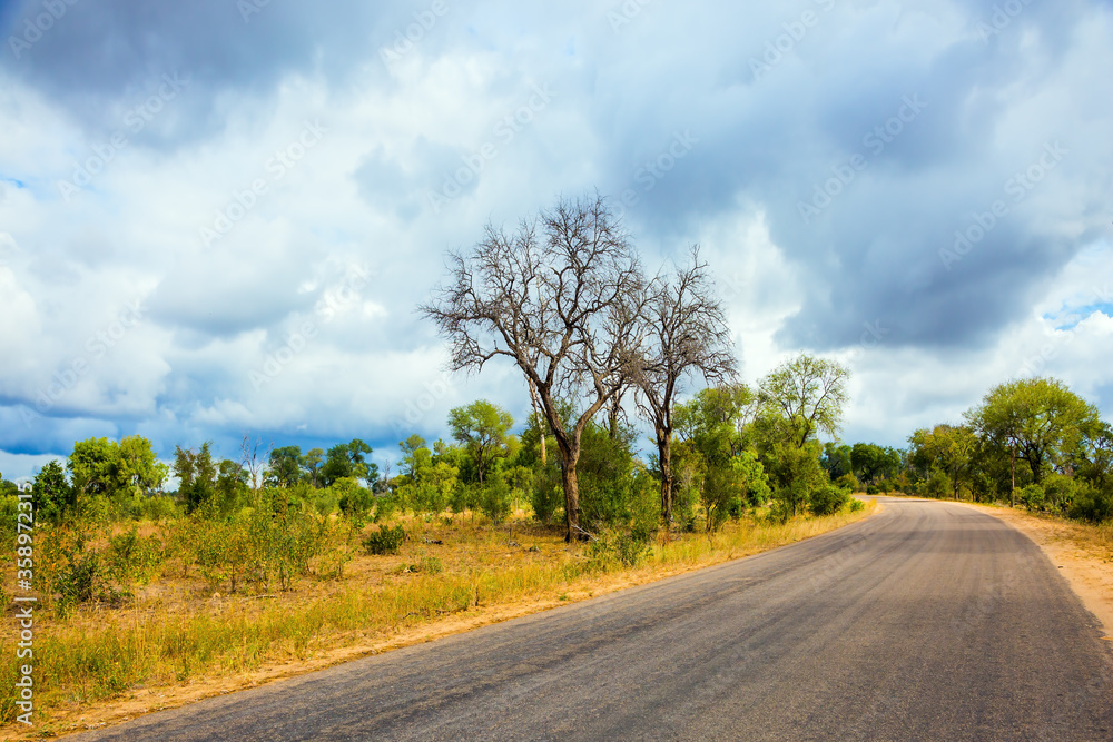 Fototapeta premium The road for tourists