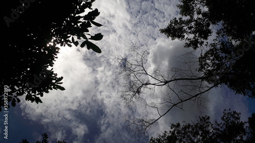 moon and clouds