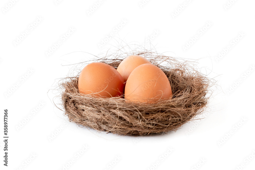 Three beige eggs in a nest on an isolated white background. Three beige eggs in a nest on an isolated white background.