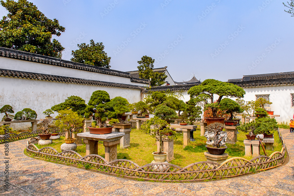 It's Nature of The Humble Administrator's Garden, a Chinese garden in Suzhou, a UNESCO World Heritage Site