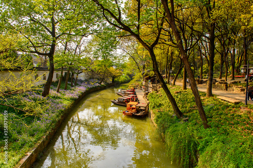 It's Nature and flowers of the the Tiger Hill in Suzhou city, Jiangsu Province of Eastern China.