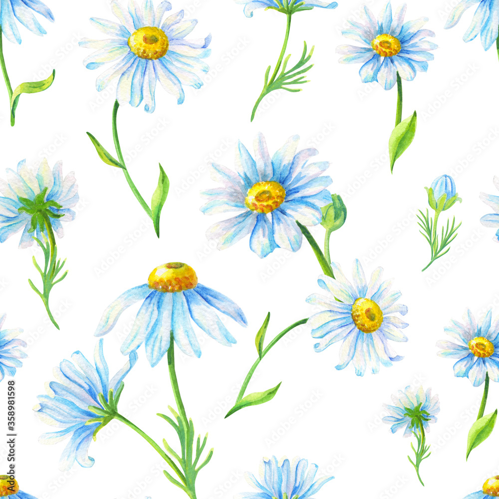 Fototapeta premium Watercolor chamomile on a white background. Abstract seamless pattern with daisies flowers
