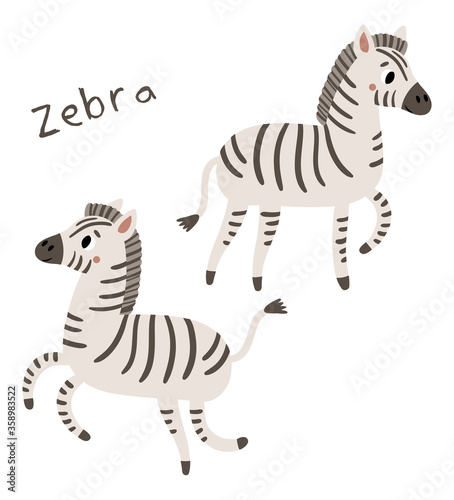 Zebra cute characters