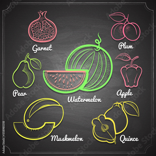 exotic fruits set color chalk painted on black chalkboard vector illustration