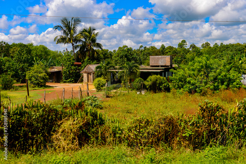 Nature and house in Matanzas, one of the major provinces in Cuba.