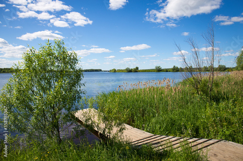 Russian nature landscape with green field, tree and blue sky