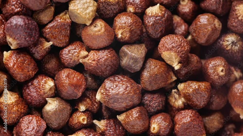 Grains of paradise or Guinea grains or melegeta pepper or alligator pepper or mahlab. Grains of paradise or Guinea grains or melegeta pepper or alligator pepper or mahlab.