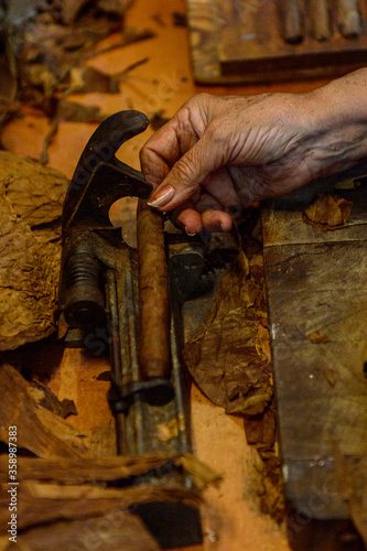 Cuban cigars manufacturing rolling process photo