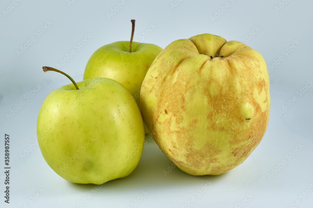 Two green apples and a quince on white background Two green apples and a quince on white background
