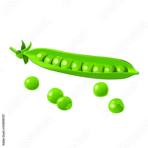 Green pea. The end of the pod of green peas. Vector image. Isolate on a white background. Element for packaging design.